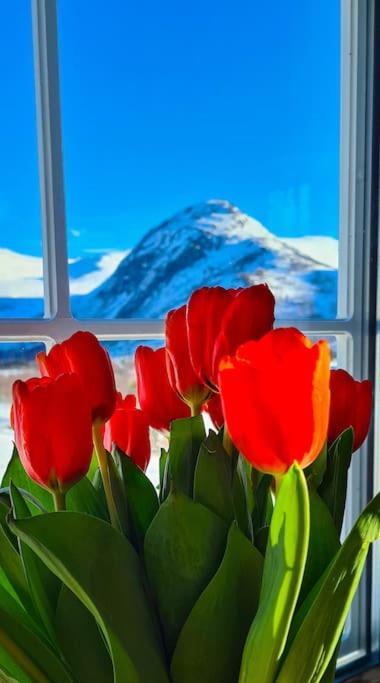 Holiday Home Among The Pearls Of Norway Stranda (More og Romsdal) Exterior foto
