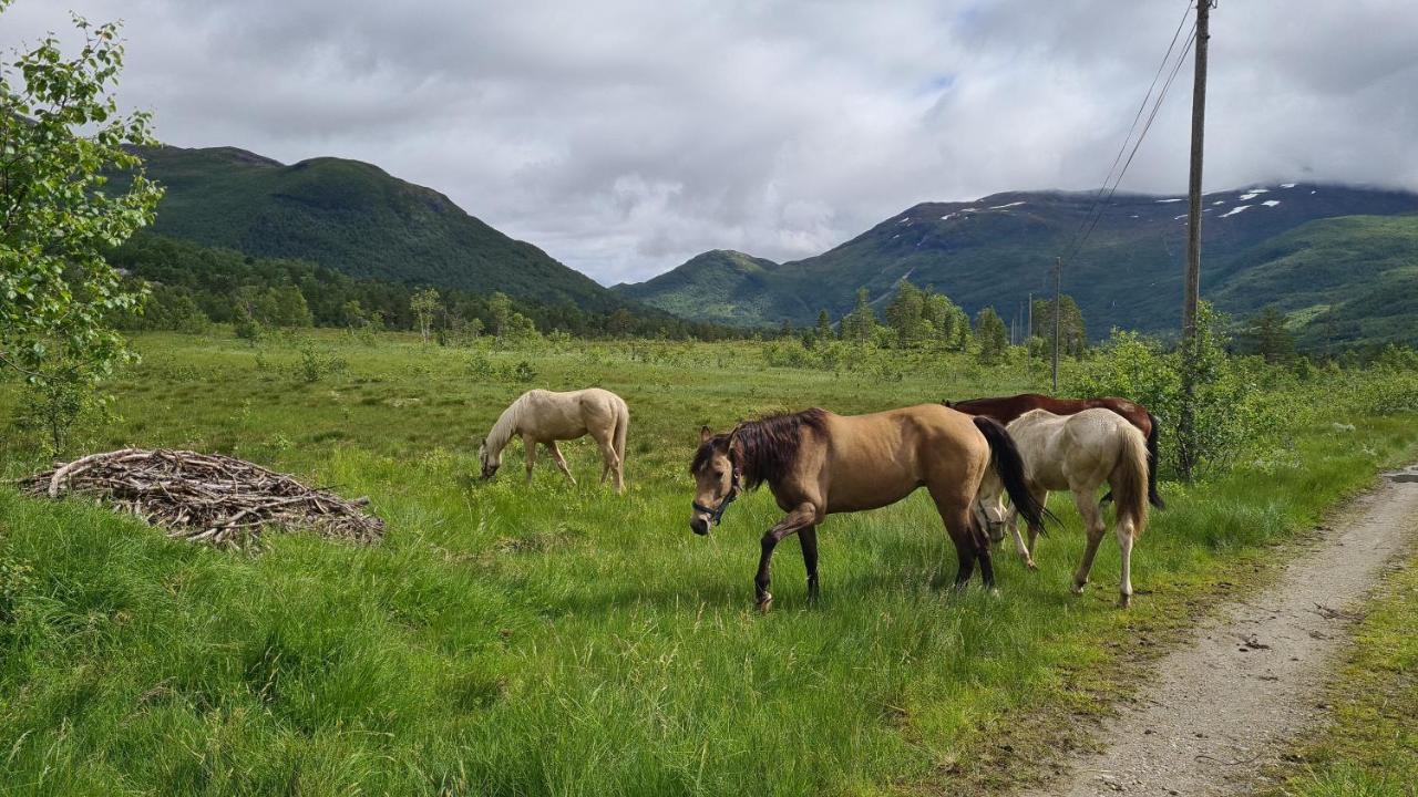 Holiday Home Among The Pearls Of Norway Stranda (More og Romsdal) Exterior foto